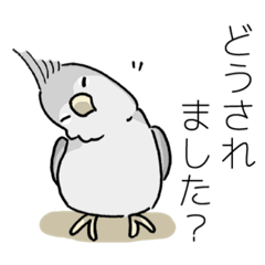 [LINEスタンプ] インコのラッキー 第2弾