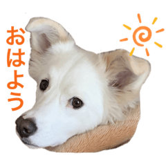 [LINEスタンプ] むーちゃんのきもちの画像（メイン）