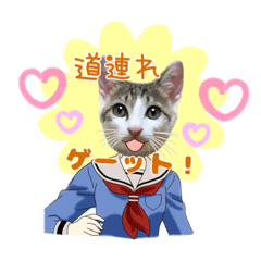 [LINEスタンプ] びんづめひよこ4