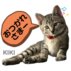 [LINEスタンプ] キジトラKIKI