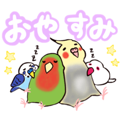 [LINEスタンプ] ことりーずの世界。