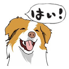 [LINEスタンプ] ボーダーコリー ノア 小さなふきだし