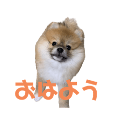[LINEスタンプ] だいず(413)