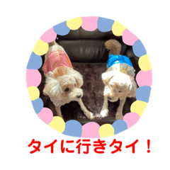 [LINEスタンプ] もか・ちょこ・みるく・ラブ♡
