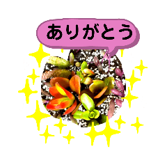 [LINEスタンプ] 花で癒し