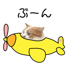 [LINEスタンプ] ふわふわ猫「みろ」vol.3