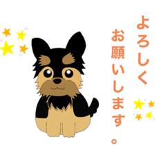 [LINEスタンプ] ヨークシャーテリアのプーちゃんスタンプ