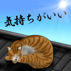 [LINEスタンプ] 感情豊かなハチワレ猫！