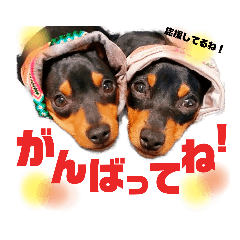 [LINEスタンプ] ちゃちゃーりん家 Part4