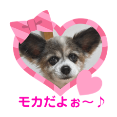 [LINEスタンプ] かわいいモカちゃん♪