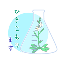 [LINEスタンプ] モデル植物シロイヌナズナ