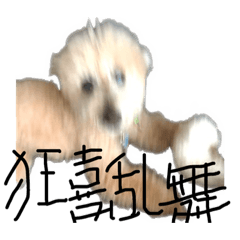 [LINEスタンプ] テンティナ