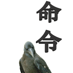 [LINEスタンプ] 漢字二文字(仕事用)をカラスからーBIG