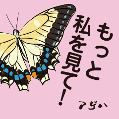 [LINEスタンプ] 虫ことば