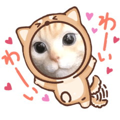 [LINEスタンプ] 日本猫の会話