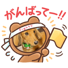 [LINEスタンプ] 犬の御挨拶