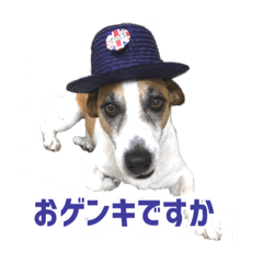 [LINEスタンプ] ゲンキなゲンキ