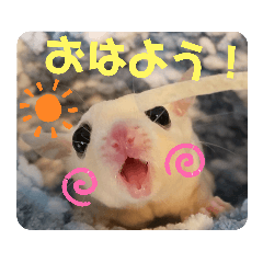 [LINEスタンプ] マロと愉快な仲間達