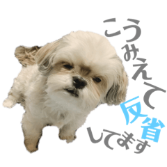 [LINEスタンプ] まつりたん②【関西弁】