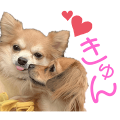 [LINEスタンプ] チロチロ③