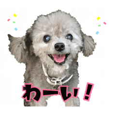 [LINEスタンプ] ほっこり同意のシルヴィー言葉
