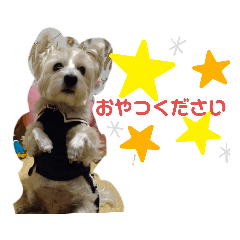 [LINEスタンプ] ウエスティの弥勒さん1