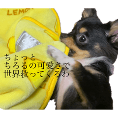 [LINEスタンプ] らぶりーちろる ふぁーすと