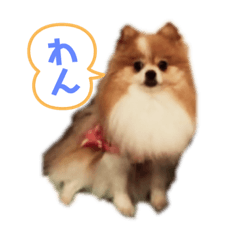 [LINEスタンプ] コロ助ハウス