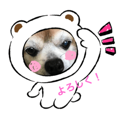 [LINEスタンプ] ふーちゃんスタンプ0701vol.2