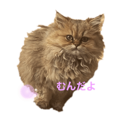 [LINEスタンプ] むんstamp1
