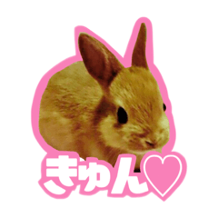 [LINEスタンプ] TN家のうさぎまろん