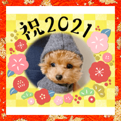 [LINEスタンプ] ねむさーん