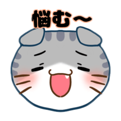 [LINEスタンプ] 表情豊かな猫の顔スタンプ