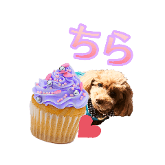 [LINEスタンプ] たるとちゃん①