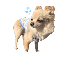 [LINEスタンプ] ツナぴよ④