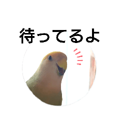 [LINEスタンプ] さくちゃんてんちゃん