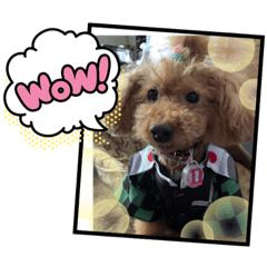 [LINEスタンプ] チェブ 4
