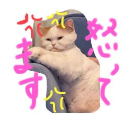 [LINEスタンプ] みいこちゃんスタンプ
