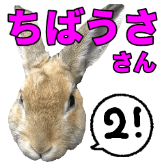 [LINEスタンプ] ちばうささん2