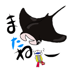 [LINEスタンプ] ブサかわ猫 海シリーズ