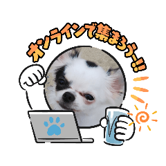 [LINEスタンプ] ☆心菜の☆たまに関西弁普段使いスタンプ