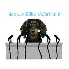 [LINEスタンプ] ミニチュアダックスのゆるっとラッキー①