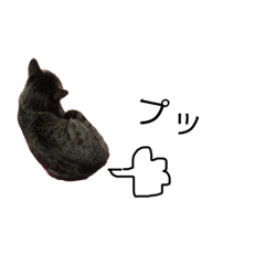 [LINEスタンプ] のんべんだらりねこ