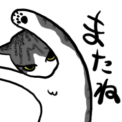 [LINEスタンプ] にゃんことワンコ