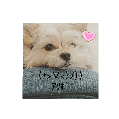 [LINEスタンプ] すず姫の日常♡