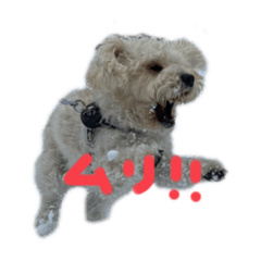 [LINEスタンプ] ふくくんスタンプ3