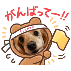 [LINEスタンプ] みんないっしょ！