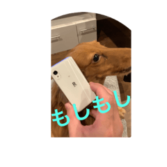 [LINEスタンプ] ピンクにシルク