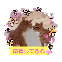 [LINEスタンプ] みるたん むぎたんの 応援スタンプ