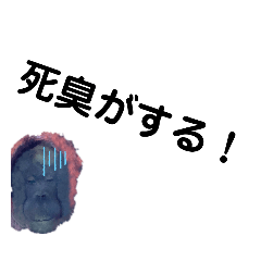[LINEスタンプ] 名うーたん言行録1
